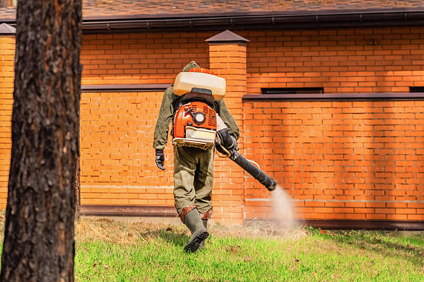 Trusted Cockroach Control service in Southside Place, TX - Nex Pest Control